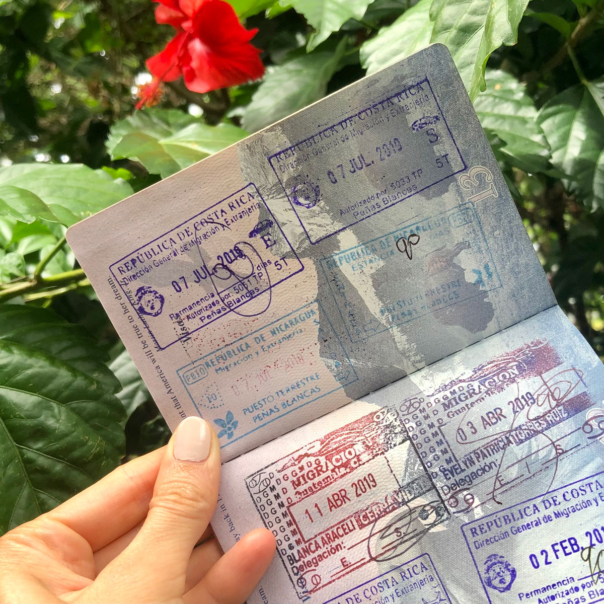 Малазийская Номад виза. Tourist visa. Nicaragua e-visa. Visa Blanca Nicaragua.